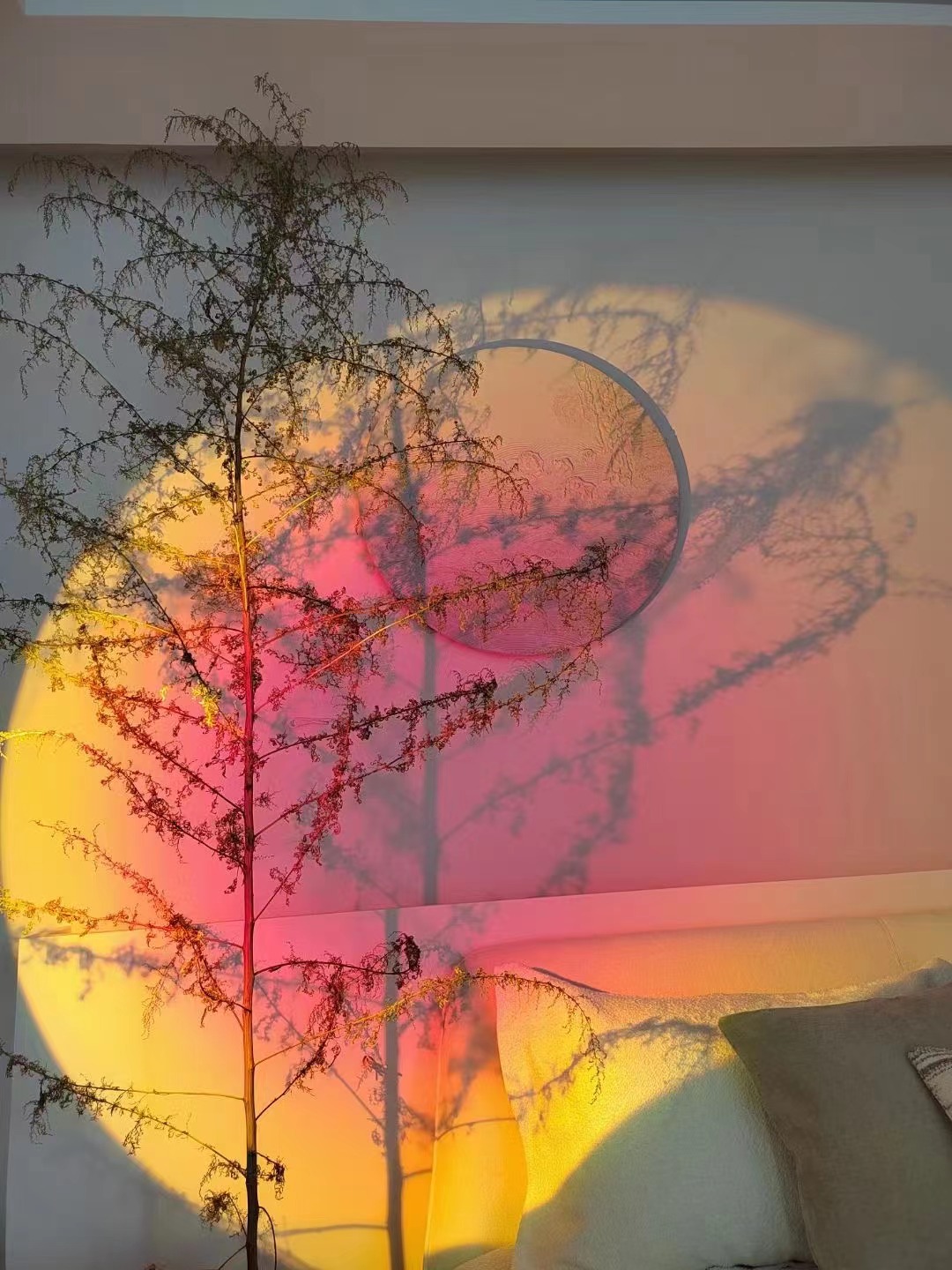 1673573043863516.jpg 微信圖片_20211026174220.jpg